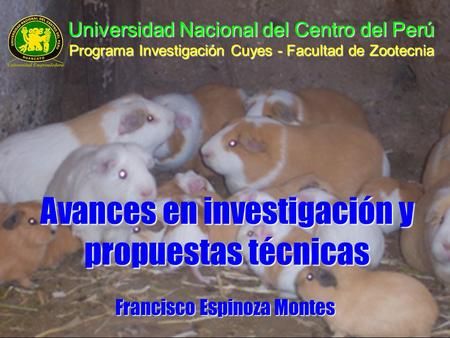 Universidad Nacional del Centro del Perú Programa Investigación Cuyes - Facultad de Zootecnia Francisco Espinoza Montes Avances en investigación y propuestas.