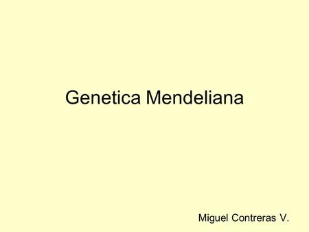 Genetica Mendeliana Miguel Contreras V.. Gregor Mendel Era un monje polaco Durante 8 años estudio la herencia de la planta Pisum sativum y publico sus.