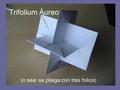 Trifolium Áureo (o sea: se pliega con tres folios)