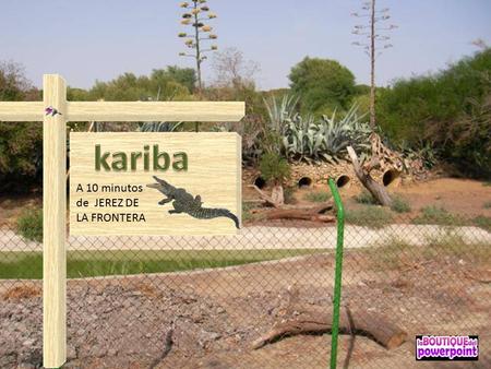 A 10 minutos de JEREZ DE LA FRONTERA Una granja atípica (UNICA DE EUROPA) Sobre una superficie de 9 hectáreas, Kariba es una granja dedicada a la cría.