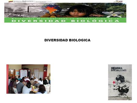 Propuesta técnica Plan de Accón Nacional en Biodiversidad DIVERSIDAD BIOLOGICA.