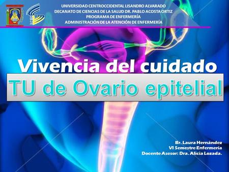 Br. Laura Hernández VI Semestre Enfermería Docente Asesor: Dra. Alicia Lozada. Vivencia del cuidado UNIVERSIDAD CENTROCCIDENTAL LISANDRO ALVARADO DECANATO.