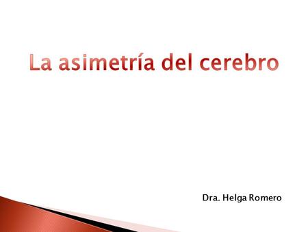 Dra. Helga Romero. Nuestros dos cerebros  La idea de que diferentes regiones están especializadas en diferentes funciones, se considera actualmente.