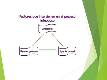 Sintomas Principales Síntomas respiratorios Tos, sonido raro Mov. y extensión de la cabeza Jadeo, Ojos inflamados y descarga nasal Síntomas nerviosos.