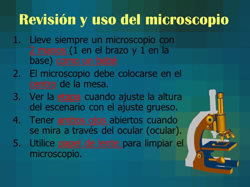 Revisión y uso del microscopio 1.Lleve siempre un microscopio con 2 manos  (1 en el brazo y 1 en la base) como un bebé 2.El microscopio debe  colocarse. - ppt descargar
