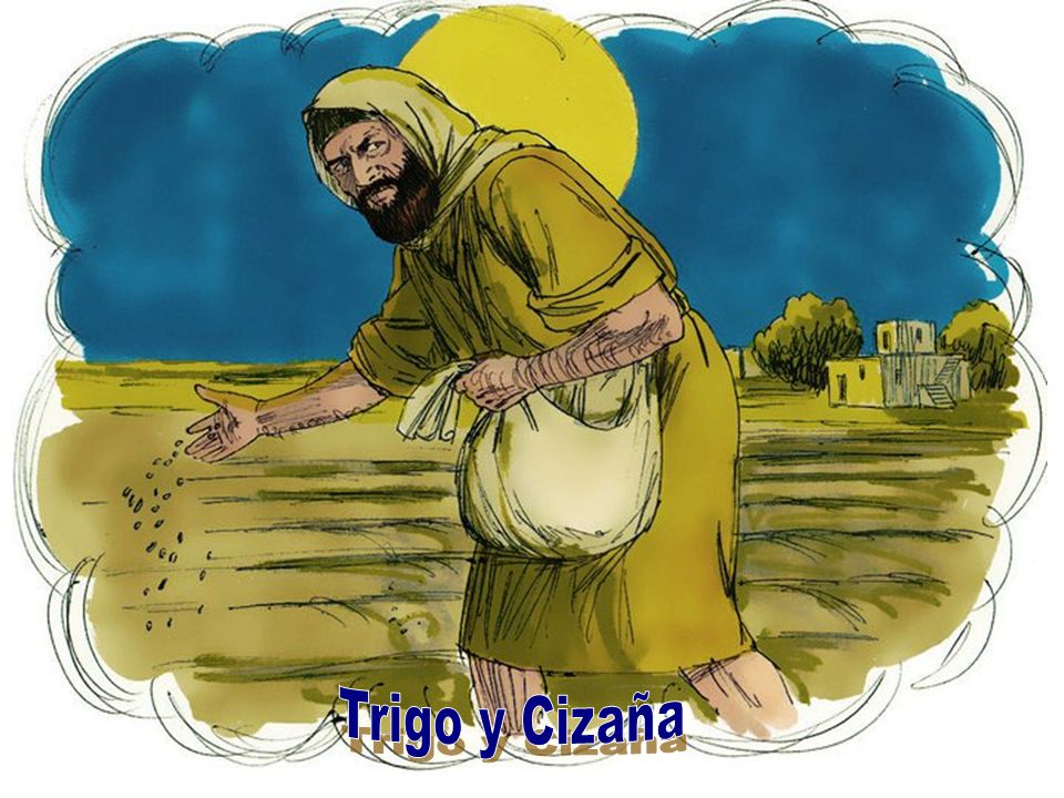 pics Parabola Del Trigo Y La Cizaña Imagenes trigo y cizana ppt descargar