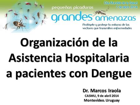 Organización de la Asistencia Hospitalaria a pacientes con Dengue Dr. Marcos Iraola CASMU, 9 de abril 2014 Montevideo. Uruguay.