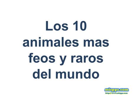 Los 10 animales mas feos y raros del mundo. Animal nº 1.