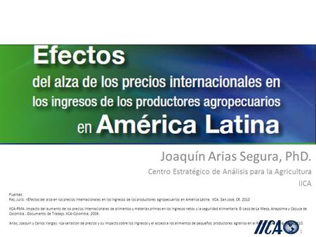 1 Joaquín Arias Segura, PhD. Centro Estratégico de Análisis para la Agricultura IICA Fuentes: Paz, Julio. «Efectos del alza en los precios internacionales.