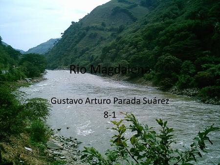 Rio Magdalena Gustavo Arturo Parada Suárez 8-1. Qué es? El río Magdalena es la principal arteria fluvial de Colombia. Tiene una longitud de más de 1 500.
