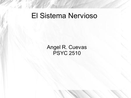 El Sistema Nervioso Angel R. Cuevas PSYC 2510.