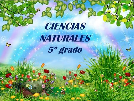 CIENCIAS NATURALES 5º grado.