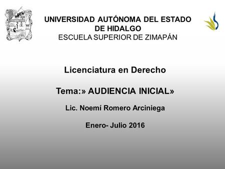 UNIVERSIDAD AUTÓNOMA DEL ESTADO DE HIDALGO ESCUELA SUPERIOR DE ZIMAPÁN Licenciatura en Derecho Tema:» AUDIENCIA INICIAL» Lic. Noemí Romero Arciniega Enero-