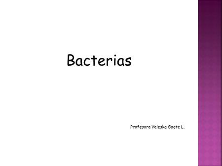 Bacterias Profesora Valeska Gaete L..  Las bacterias son organismos celulares procariontes, la ausencia de compartimentos separados por membrana hace.