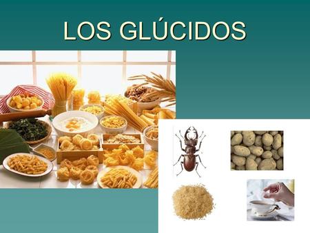 LOS GLÚCIDOS.