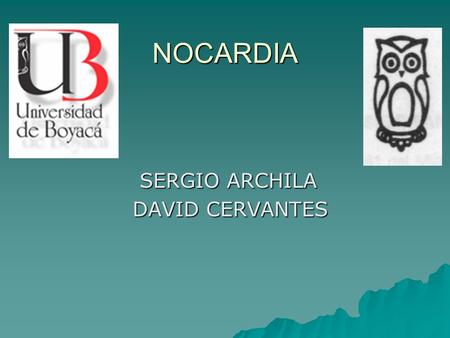 NOCARDIA SERGIO ARCHILA SERGIO ARCHILA DAVID CERVANTES DAVID CERVANTES.