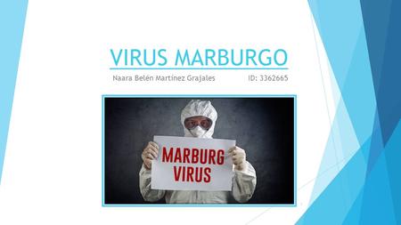 VIRUS MARBURGO Naara Belén Martínez Grajales ID: 3362665 1.