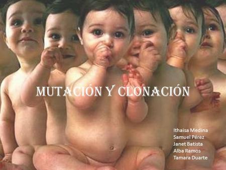 Mutación y clonación Ithaisa Medina Samuel Pérez Janet Batista Alba Ramos Tamara Duarte.