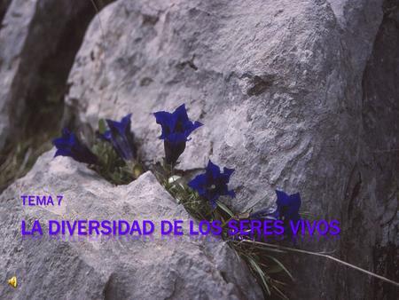 LA DIVERSIDAD DE LOS SERES VIVOS