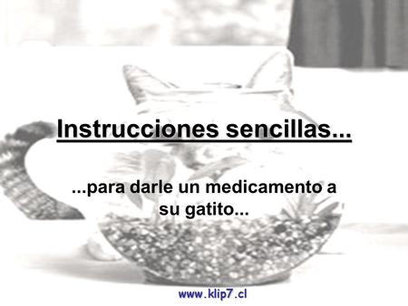 Www.klip7.cl Instrucciones sencillas......para darle un medicamento a su gatito...