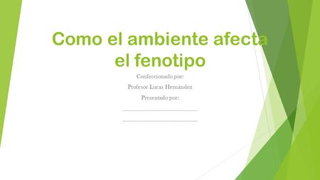 Como el ambiente afecta el fenotipo Confeccionado por: Profesor Lucas Hernández Presentado por: _________________________.