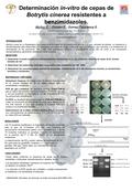 Determinación in-vitro de cepas de Botrytis cinerea resistentes a benzimidazoles. Muñoz C., Oriolani E., Gomez Talquenca S. Laboratorio de Fitovirología.