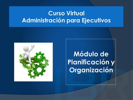 Módulo de Planificación y Organización Curso Virtual Administración para Ejecutivos.