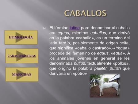 El término latino para denominar al caballo era equus, mientras caballus, que derivó en la palabra «caballo», es un término del latín tardío, posiblemente.