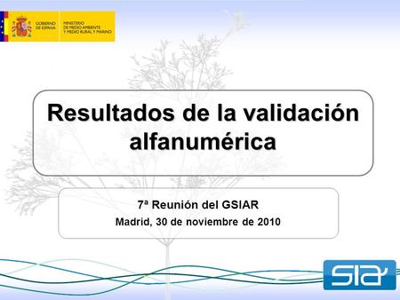 Resultados de la validación alfanumérica 7ª Reunión del GSIAR Madrid, 30 de noviembre de 2010.
