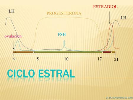 CICLO ESTRAL ESTRADIOL LH PROGESTERONA LH FSH ovulacìon o