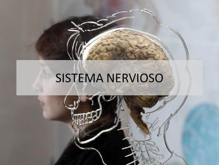 SISTEMA NERVIOSO.