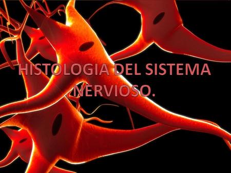 HISTOLOGIA DEL SISTEMA NERVIOSO.