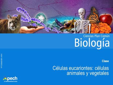 PPTCES003CB31-A16V1 Clase Células eucariontes: células animales y vegetales.