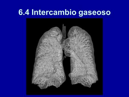 6.4 Intercambio gaseoso. El sistema respiratorio: visión general Los pulmones están continuamente llenándose y vaciándose de aire, en un proceso llamado.