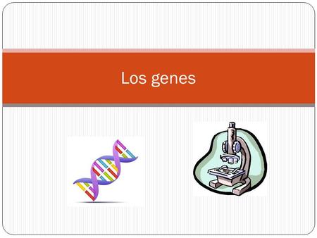 Los genes. El ADN El ADN tiene la función de “guardar información” debido a que contiene las instrucciones que determinan la forma y características de.