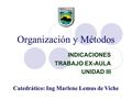 Organización y Métodos INDICACIONES TRABAJO EX-AULA UNIDAD III Catedrático: Ing Marlene Lemus de Viche.