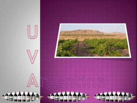 El vino argentino es el que se produce principal y tradicionalmente en las provincias de Mendoza, San Juan, Salta, La Rioja, Córdoba, Catamarca y en las.