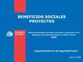 Sistema de Información de Apoyo a la Gestión y Fiscalización de los Regímenes de Prestaciones Familiares y Subsidio Familiar SIAGF Superintendencia de.