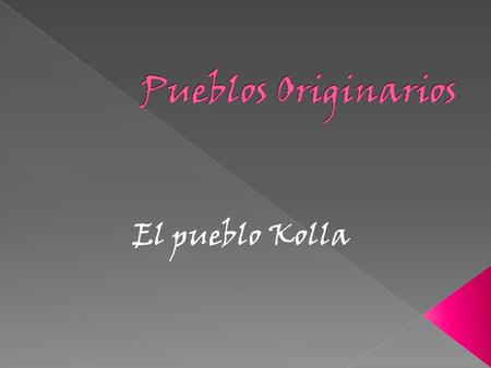 Pueblos Originarios El pueblo Kolla.