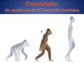 A la pregunta ¿QUÉ ES CEMEDETE? sólo hay una respuesta: UNA HERRAMIENTA. La primera herramienta que hizo evolucionar al SER HUMANO fue el descubrimiento.