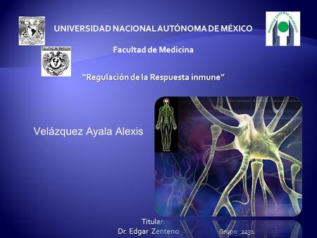UNIVERSIDAD NACIONAL AUTÓNOMA DE MÉXICO Facultad de Medicina “Regulación de la Respuesta inmune” Velázquez Ayala Alexis Dr. Edgar Zenteno Grupo: 2231.