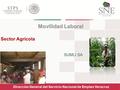 Movilidad Laboral Sector Agrícola SUMLI SA Dirección General del Servicio Nacional de Empleo Veracruz.