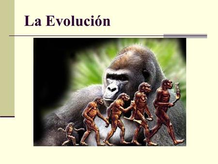 La Evolución.