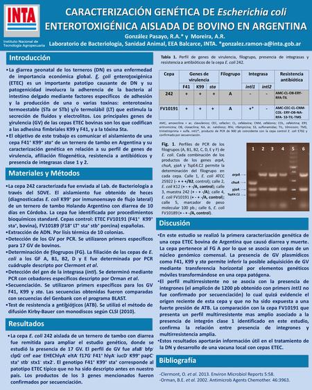 CARACTERIZACIÓN GENÉTICA DE Escherichia coli ENTEROTOXIGÉNICA AISLADA DE BOVINO EN ARGENTINA González Pasayo, R.A.* y Moreira, A.R. Laboratorio de Bacteriología,