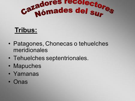 Cazadores recolectores