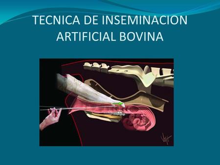 TECNICA DE INSEMINACION ARTIFICIAL BOVINA