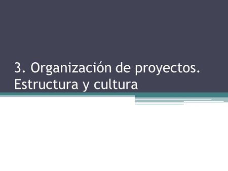 3. Organización de proyectos. Estructura y cultura.