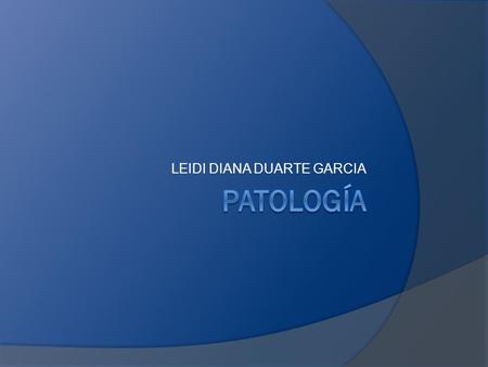 LEIDI DIANA DUARTE GARCIA