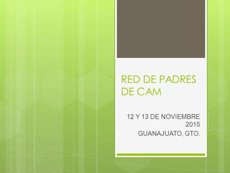 RED DE PADRES DE CAM 12 Y 13 DE NOVIEMBRE 2015 GUANAJUATO, GTO.