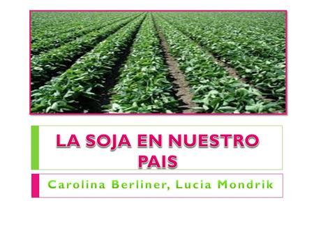 Uno de los lugares en los que mas se cultiva la soja es en la zona pampeana,. Sus provincias mas productoras son Buenos Aires, Cordoba y Santa Fe. Comenzo.